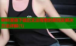 哔咔漫画下载后无法观看的原因及解决方法详解(1)