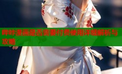 哔咔漫画是否需要付费使用详细解析与攻略