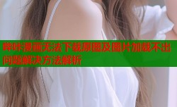 哔咔漫画无法下载原图及图片加载不出问题解决方法解析