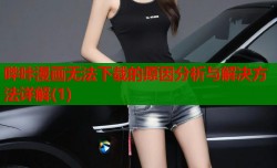 哔咔漫画无法下载的原因分析与解决方法详解(1)