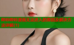 哔咔哔咔漫画无法进入的原因及解决方法详解(1)
