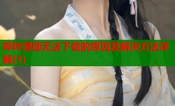 哔咔漫画无法下载的原因及解决方法详解(1)