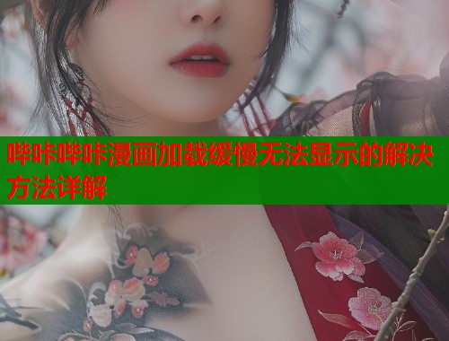 哔咔哔咔漫画加载缓慢无法显示的解决方法详解  第1张