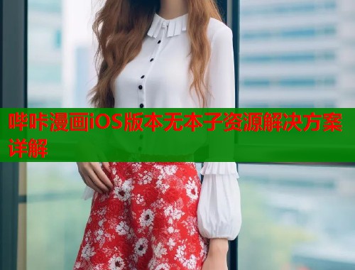 哔咔漫画iOS版本无本子资源解决方案详解  第1张