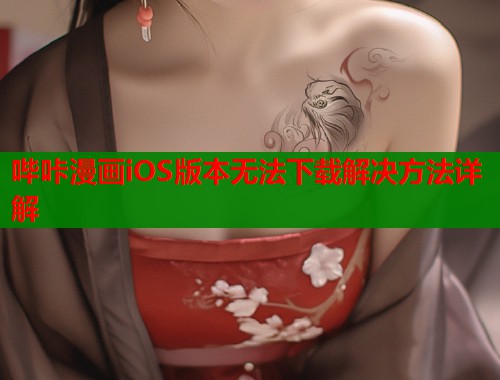 哔咔漫画iOS版本无法下载解决方法详解  第1张