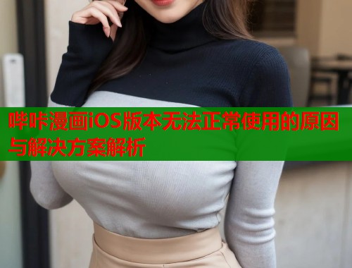哔咔漫画iOS版本无法正常使用的原因与解决方案解析  第1张