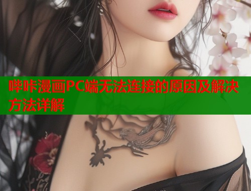 哔咔漫画PC端无法连接的原因及解决方法详解  第2张