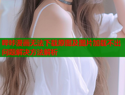 哔咔漫画无法下载原图及图片加载不出问题解决方法解析  第1张