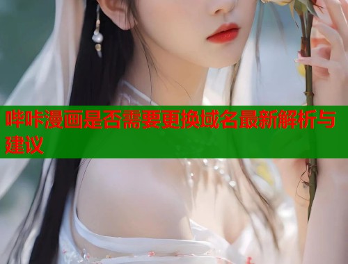 哔咔漫画是否需要更换域名最新解析与建议  第1张
