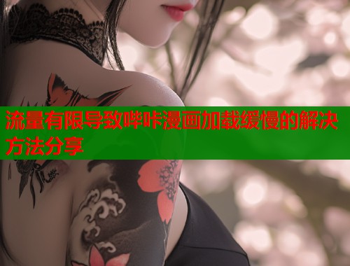 流量有限导致哔咔漫画加载缓慢的解决方法分享  第1张